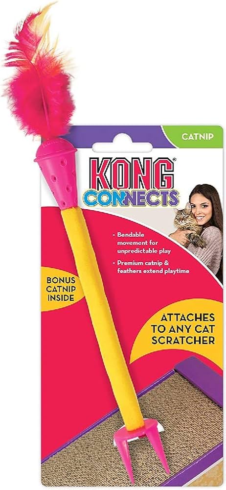 Celova Cat Connects: Scratch - Standard Standard