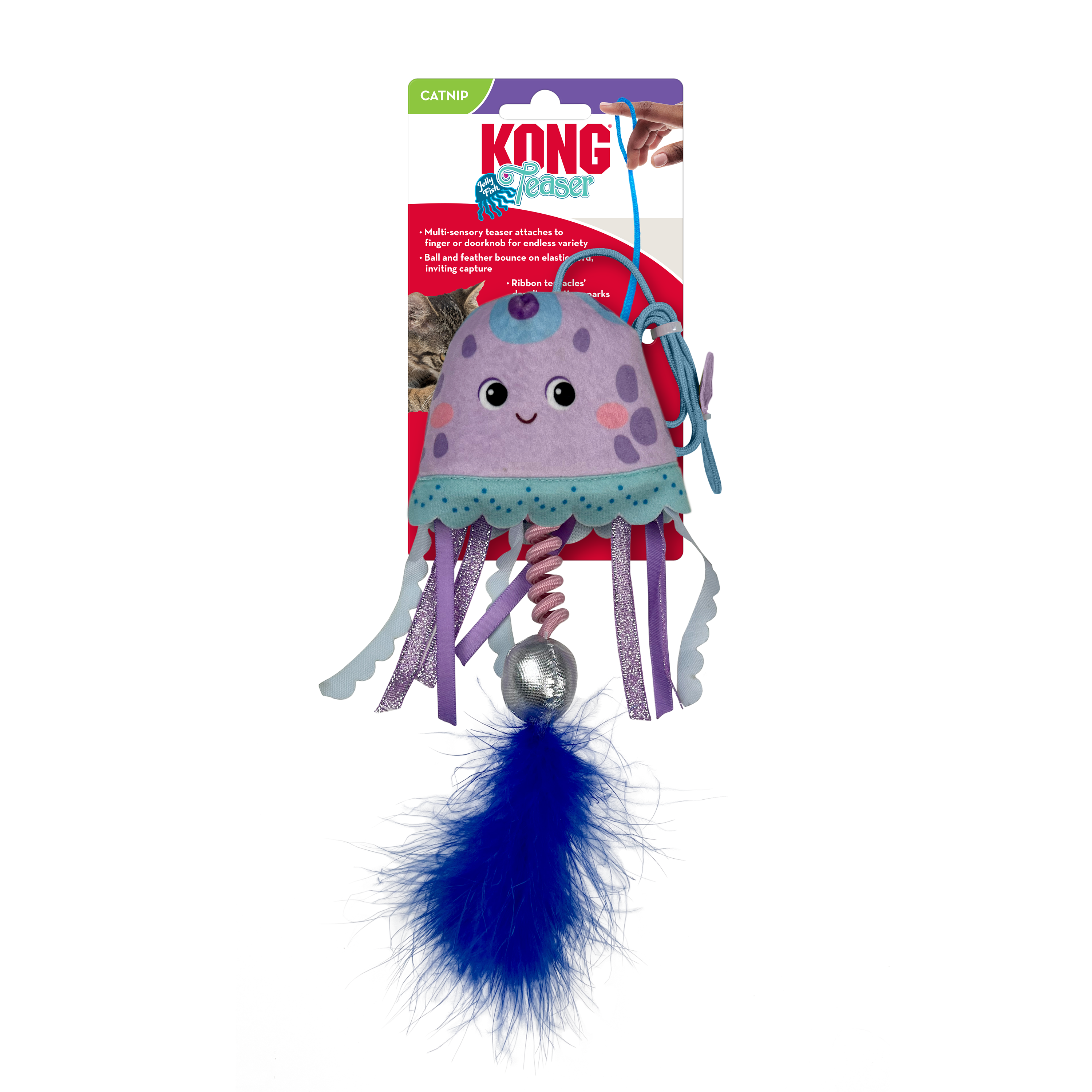 Celova Teaser Jellyfish Assorted - Standard Standard