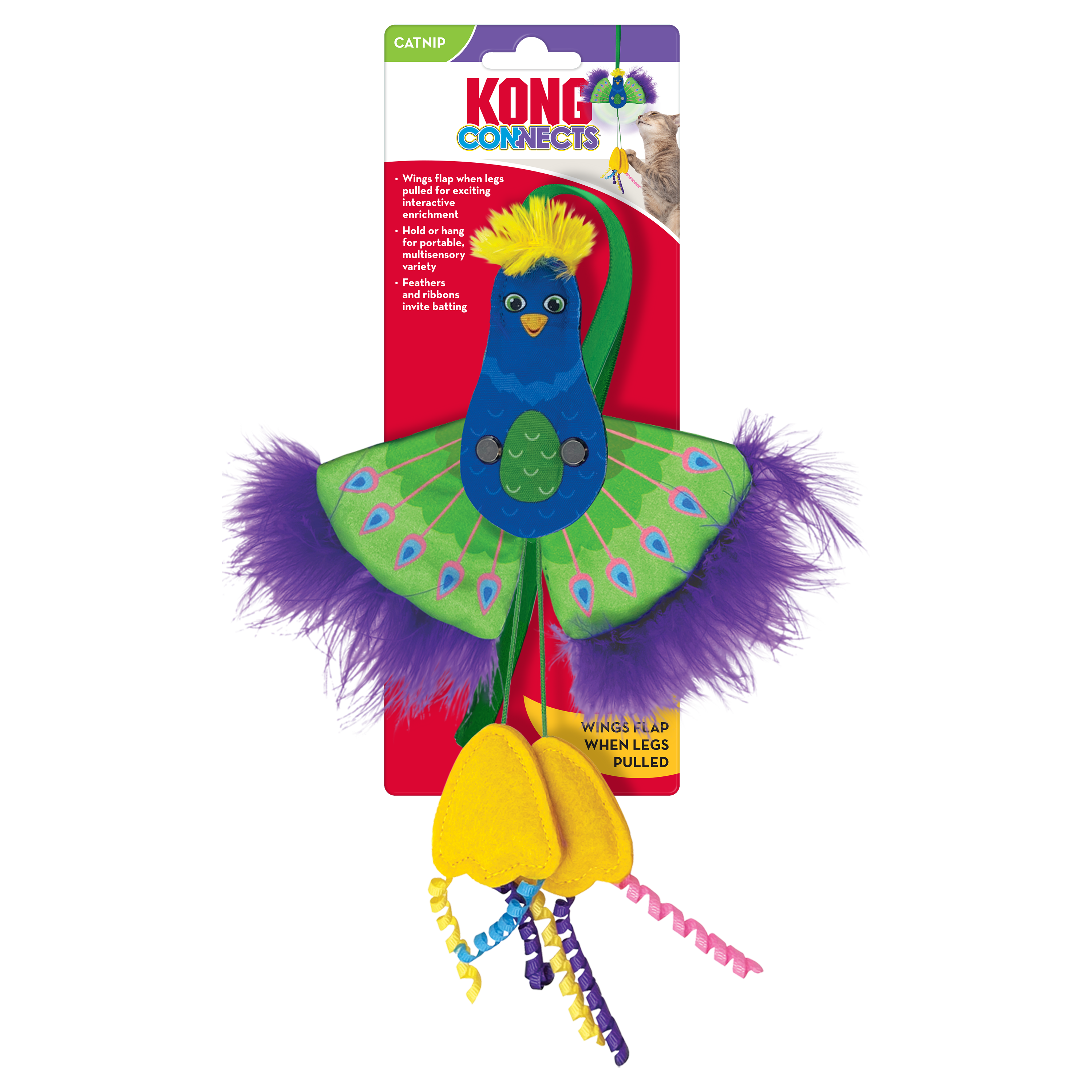 Celova Connects Peacock - Aug - Standard Standard